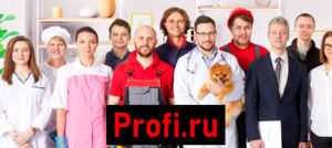 profi - приложение для заработка